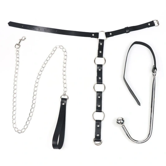 Anal Hooks Collar with Anal Leash EverydayUse and 5853 Hook Kinky 0817